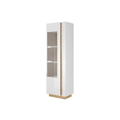 Prosklená vitrína s LED osvětlením ARCO 193 bílá / bílý lesk